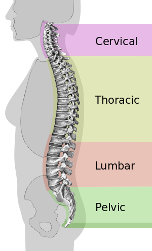 Back Pain and the right support with a Latex Mattress
