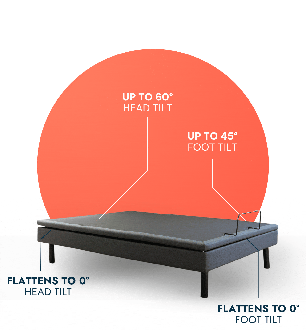 Animation showing the Ascend bed's full range of adjustability including tilt available in Los Angeles